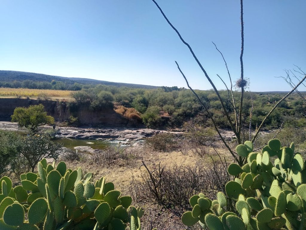 Santa Clara, Durango